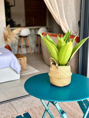 Appartement Agosta Plage